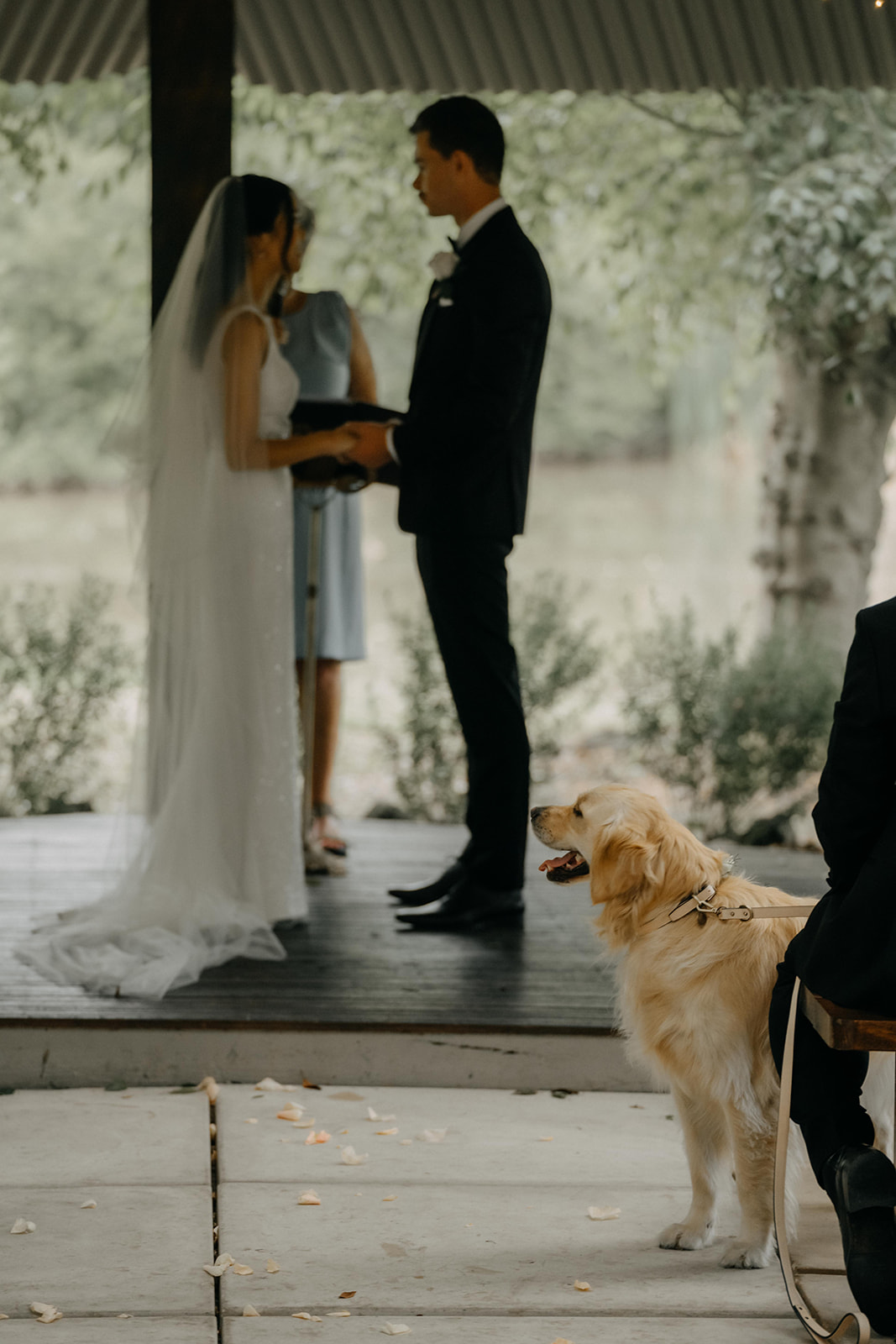 Naomi and Jack wedding photograph 29