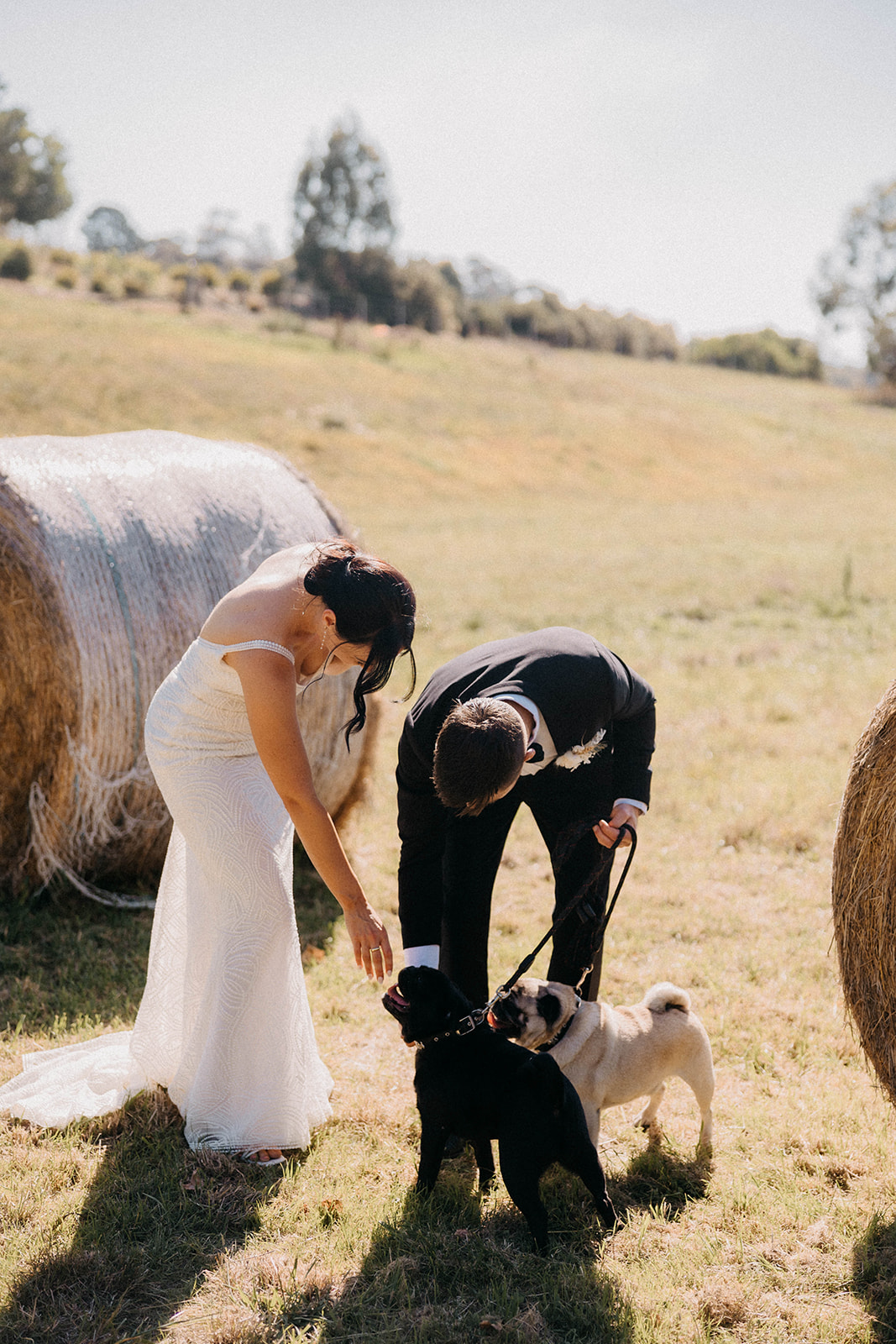 Jayde and Sean wedding photograph 73