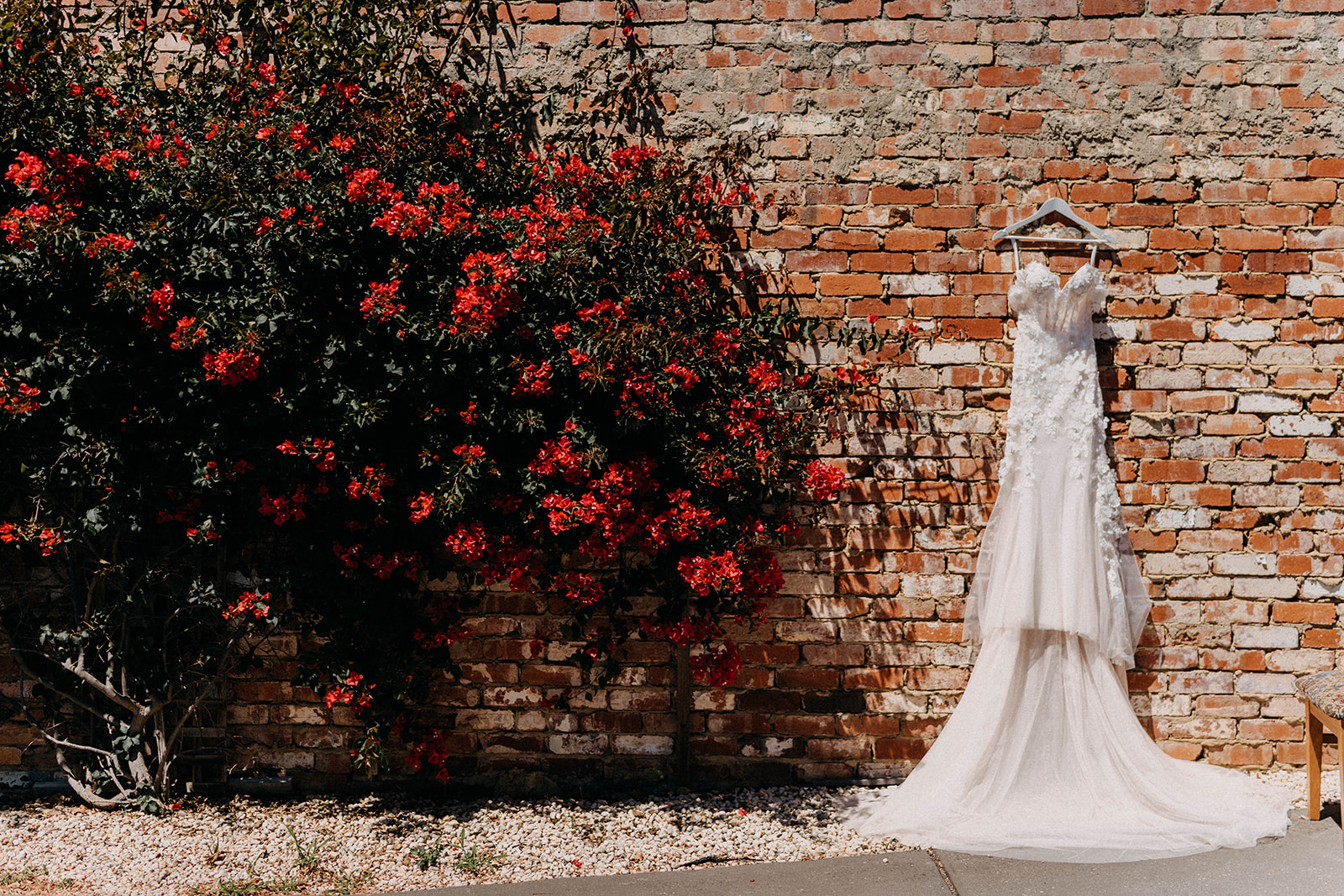 Daniella and James wedding photograph 7